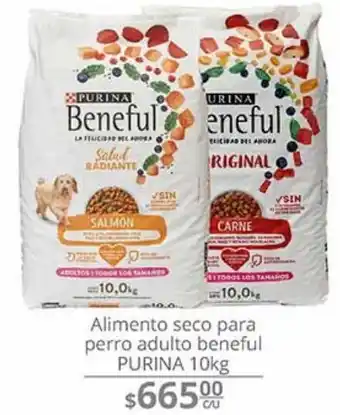 Alimento seco para perro adulto beneful purina 10kg
