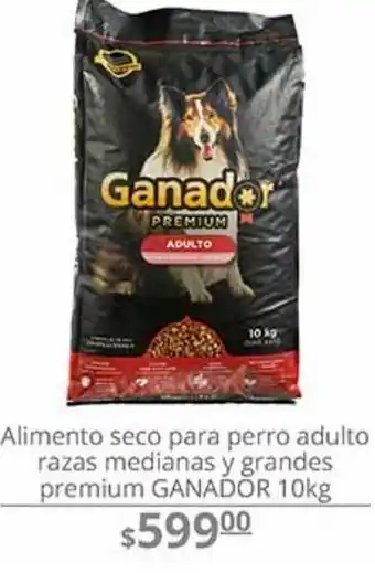 Alimento seco para perro adulto razas medianas y grandes premium ganador 10kg