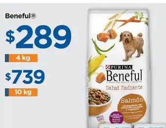 Alimento para perros beneful 10kg