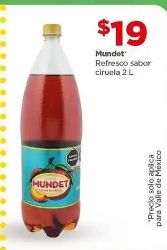Bodega Aurrerá Refresco mundet sabor ciruela 2 l oferta
