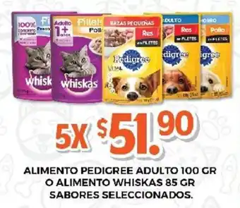 Alimento Pedigree Adulto 100g o Whiskas 85g sabores seleccionados x 3's