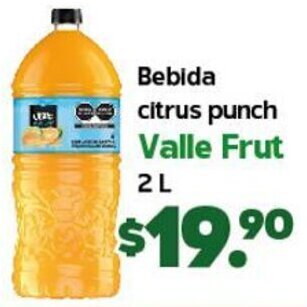 Arteli Bebida Citrus Punch Valle Frut 2L oferta