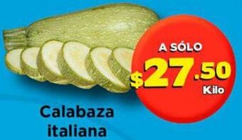 Super Aki Calabaza Italiana oferta