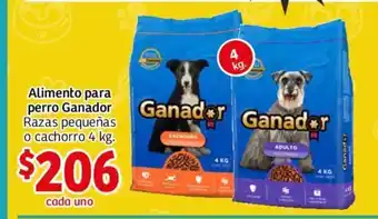 Ganador Alimento para perro 4kg