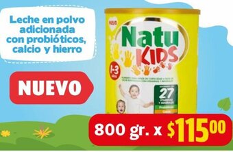 Farmacias Guadalajara Leche en Polvo Adicionada con Probióticos, Calcio y Hierro 800g oferta