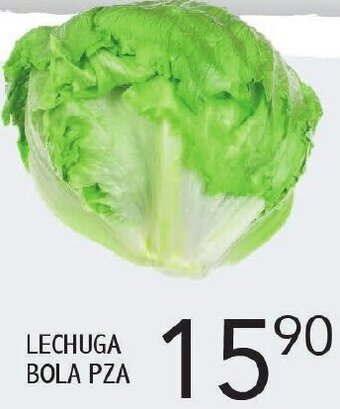 Alsuper Lechuga Bola Pza oferta