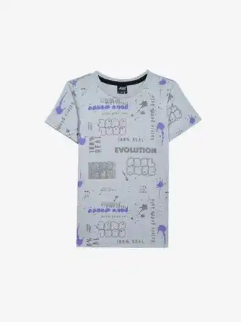 Playera gris evolution