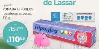 DelSol Pomada hipoglos rozaduras severas 110g oferta