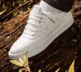 Woolworth Tenis oferta