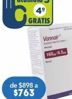 Farmacia San Pablo Vannair aerosol 160/4.5mcg 120 dosis oferta