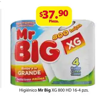 Zorro Mr Big Higienico XG 800 HD 16-4 pzs oferta