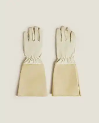 Guantes de jardín
