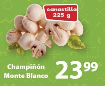 Champiñon Monte Blanco