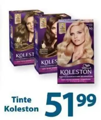 Koleston Tinte