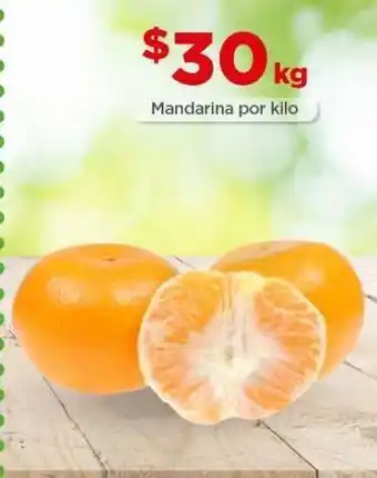 Bodega Aurrerá Mandarina kg oferta