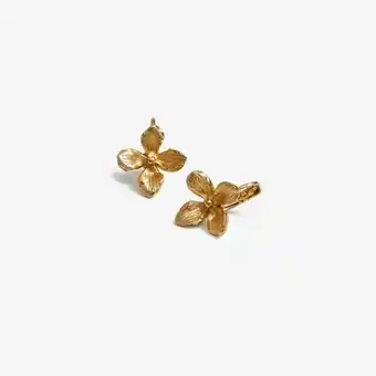 Yanbal Aretes tangüis oferta