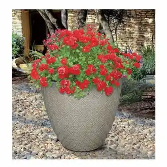 Sam's Club Maceta member's mark espirito 22" oferta