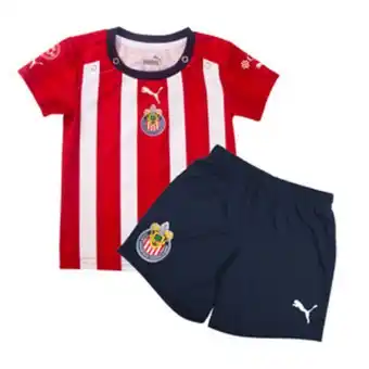 Kit bebé puma ap22