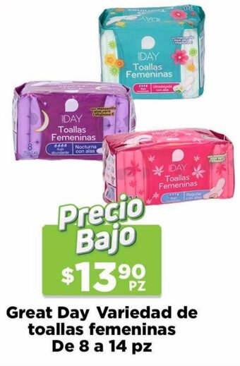 HEB Great Day Variedad de Toallas Femeninas 8 a 14pz oferta