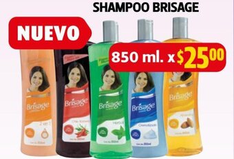 Farmacias Guadalajara Brisage Shampoo 850 ml oferta
