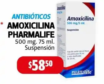 Farmacias Guadalajara Pharmalife Amoxicilina 500 mg 75 ml oferta