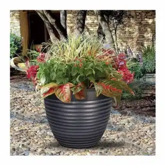 Sam's Club Maceta member's mark carbón 20" oferta