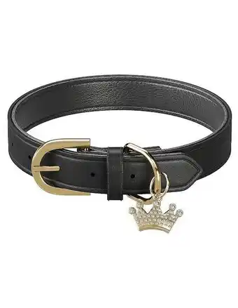 Collar mascretta de paseo para perro y gato
