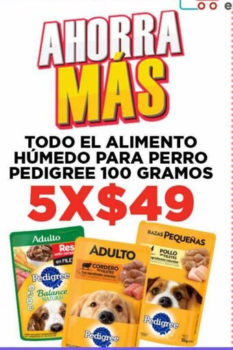 HEB Todo El Alimento Húmedo para Perro Pedigree 5x100g oferta