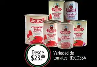 Variedad de tomates riscossa