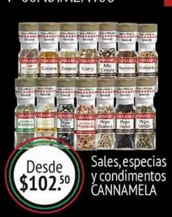 Sales, especias y condimentos cnnamela