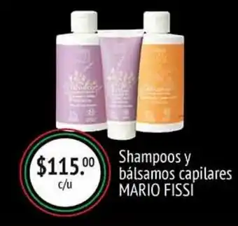 Shampoos y bálsamos capilares mario fissi