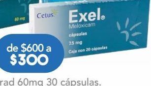 Exel 20 cápsulas caja
