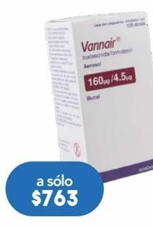 Farmacia San Pablo Vannair aerosol 120 aerosol inhalador oferta