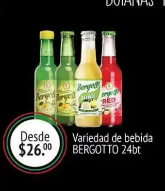 Bebida bergotto 24bt