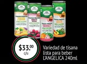 Tisana lista para beber l'angelica 240ml