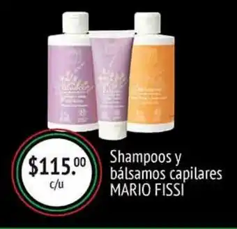 Shampoo y balsamo capilar mario fissi