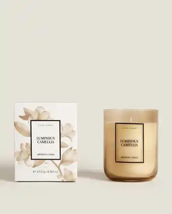 (250 g) vela aromática luminous camellia