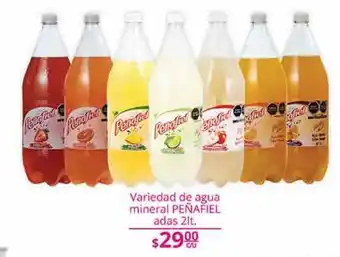 Agua mineral peñafiel adas 2l