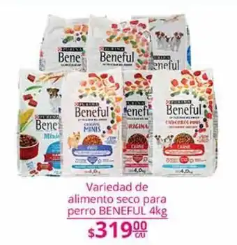 Alimento para perros beneful 4kg
