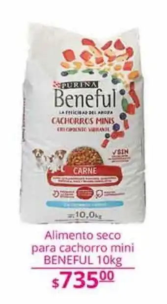 La Comer Alimento para cachorro mini beneful 10kg oferta