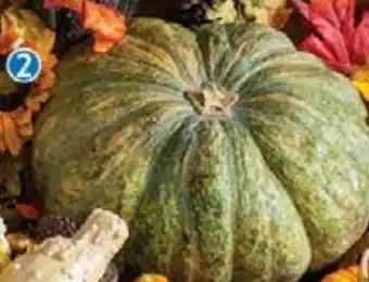 Walmart Calabaza de castilla kg oferta