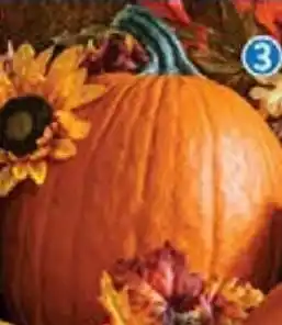 Walmart Calabaza halloween kg oferta