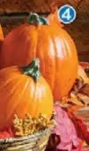 Walmart Calabaza pay kg oferta