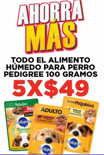 Todo El Alimento Húmedo para Perro Pedigree 5x100g