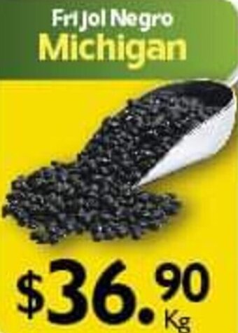 Arteli Frijol Negro Michigan oferta