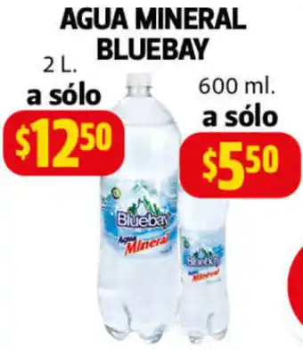 Farmacias Guadalajara Agua Mineral Bluebay 2L oferta