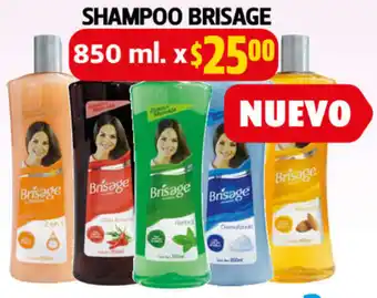 Farmacias Guadalajara Shampoo Brisage 850ml oferta