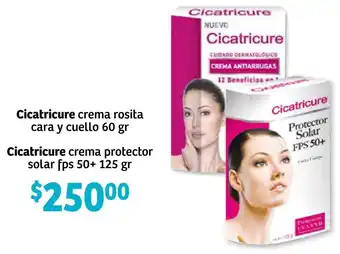 Soriana Híper Cicatricure Crema Rosita Cara y Cuello 60g oferta