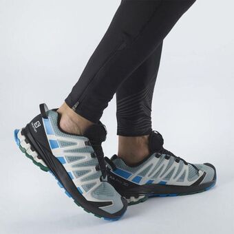 Salomon Xa pro 3d v8 oferta