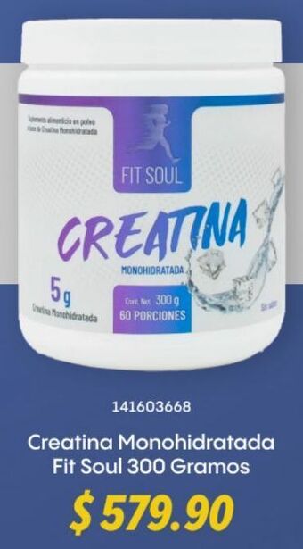 Creatina monohidratada fit soul 300 gramos